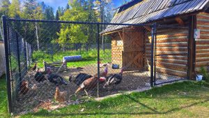 ClUKTFNuYXBjaGF0LzEzLjU5LjAuNTggKFNNLVM5MjhXOyBBbmRyb2lkIDE1I1M5MjhXVkxTNEJZRzIjMzU7IGd6aXApIFYvTVVTSFJPT00Qo/+89uwB